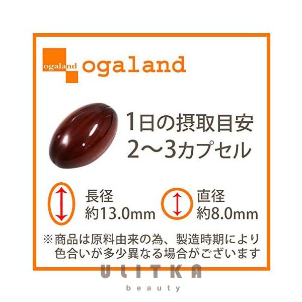 OGALAND Fukuyama Black Vinegar (60 шт - 30 дн) - 1 фото галереи