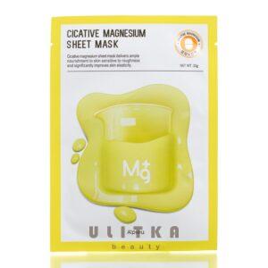 Лечебная тканевая маска для лица с магнием A'pieu Cicative Magnesium Sheet Mask (22 мл) – Купити в Україні Ulitka Beauty