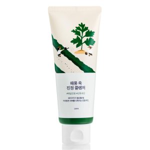 Очищающая пенка для лица с полынью ROUND LAB Mugwort Calming Cleanser (150 мл) – Купити в Україні Ulitka Beauty