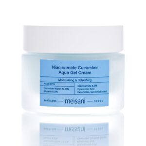 Увлажняющий гель-крем с ниацинамидом и гидролатом огурца  Meisani Niacinamide Cucumber Aqua Gel Cream (50 мл) – Купити в Україні Ulitka Beauty