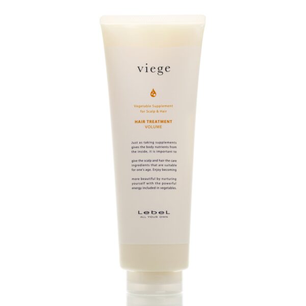 Lebel Viege Treatment Volume (240 мл)