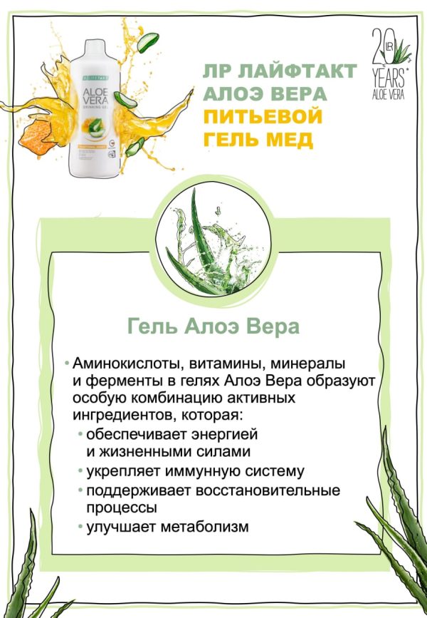 Гель Алое Вера с медом для поддержки ЖКТ - 1 фото галереи LR Aloe Vera 90,1% (1000 мл) - 1 фото галереи