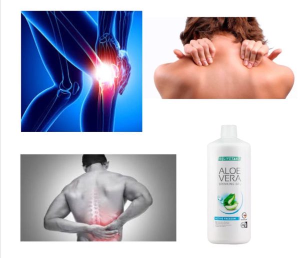 Гель Алое Вера для суставов - 1 фото галереи LR Aloe Vera Active Freedom (1000 мл) - 1 фото галереи