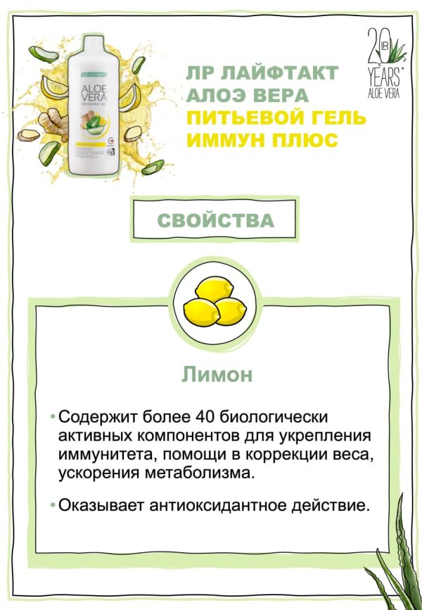 Питьевой Гель Алоэ Вера Имбирь для иммунитета Набор - 1 фото галереи 3 шт. LR Aloe Vera Immune Plus (3*1000 мл) - 1 фото галереи