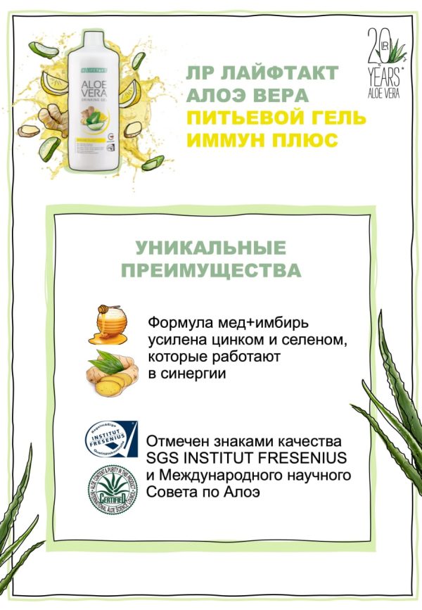 Питьевой Гель Алоэ Вера Имбирь для иммунитета Набор - 1 фото галереи 3 шт. LR Aloe Vera Immune Plus (3*1000 мл) - 1 фото галереи