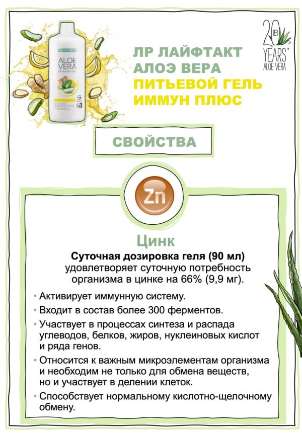 Питьевой Гель Алоэ Вера Имбирь для иммунитета Набор - 1 фото галереи 3 шт. LR Aloe Vera Immune Plus (3*1000 мл) - 1 фото галереи