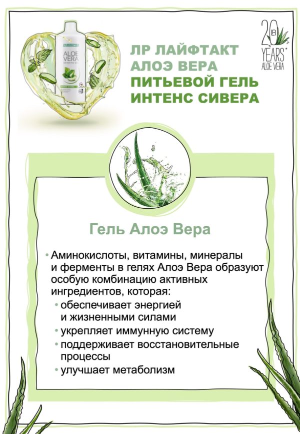 Гель Алое Вера кропива для сердца и сосудов Набор - 1 фото галереи 3 шт. LR Aloe Vera Sivera (3*1000 мл) - 1 фото галереи